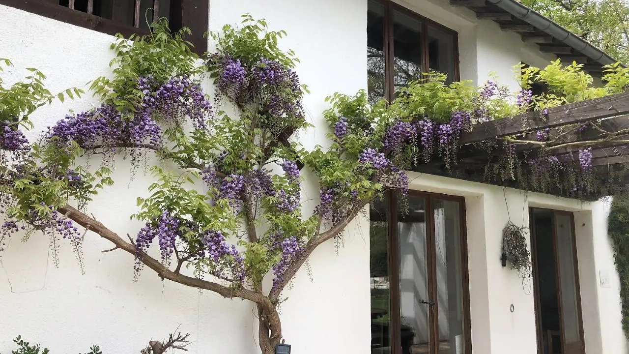 La Joie De Vivre Villa Bonnefont